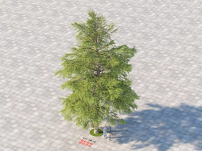 Tall Arbor With Green Foliage Standing On Paved Ground With Signage And Tool 3d model
