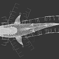 Realistic Shark Model Showcase In Four Different Angles With Detailed Features