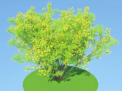 Vibrant Garden Shrub With Lush Green Leaves And Bright Yellow Flowers 3d model