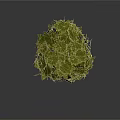 Green Leafy Plant Sphere With Fresh Round Decorative Foliage Design