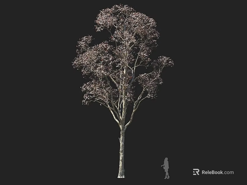 Tall Arbor With Pink Purple Foliage Slender Trunk And Human Figure Size Comparison Dark Background 3d model 