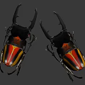 Stag Beetles with Large Black Horns Red Yellow Black Striped Bodies on White Background