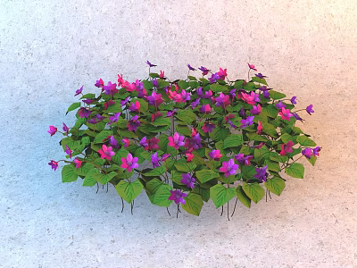 Vibrant Flowering Plant With Purple And Pink Flowers And Green Leaves In Round Cluster 3d model