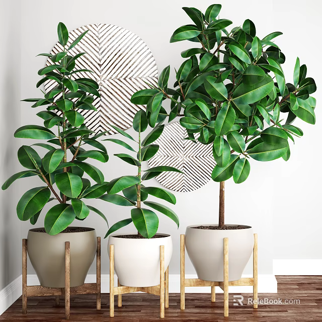 Bonsai Potted Plants With Lush Green Leaves In White Beige Pots On Gold Stand 3d model 