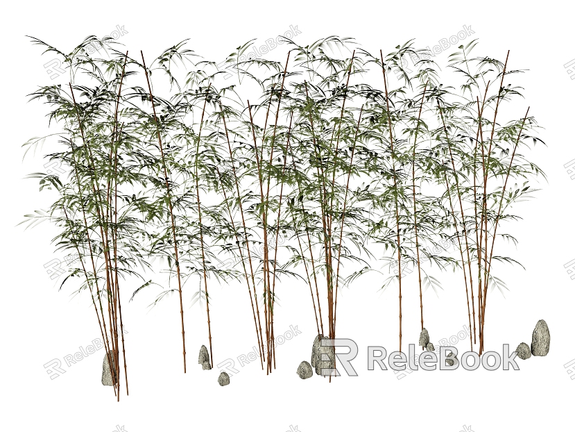 plant bamboo green plant stone model