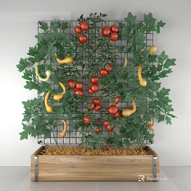 Vegetables Growing on Grid with Red Tomatoes Yellow Squash and Green Leaves in Wooden Box 3d model 