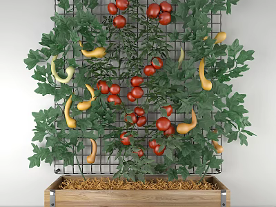 Vegetables Growing on Grid with Red Tomatoes Yellow Squash and Green Leaves in Wooden Box 3d model