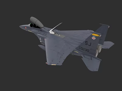 Gray Fighter Jet With Open Canopy Tail Fin Logo And SJ Number 40230 3d model