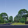 Scenic Road Lined With Trees Street Lights And Green Areas