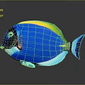 Blue Fish With Yellow And Green Stripes Black Head And Blue Tail On Gray Background