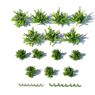 Modern shrubs 3d model