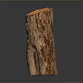 Natural Wooden Log With Cross Section Visible Growth Rings And Detailed Texture On Black Background