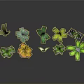 Colorful Decorative Plants With Various Leaf Shapes And Green Yellow Leaves On Dark Background