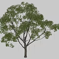 Slim Yellow Decorative Lights Hanging on Tree for Outdoor Garden Landscape Decoration