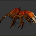 Red Crab With Vibrant Orange Color And Large Claws On Smooth Surface 3d model