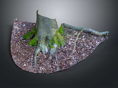 Garden Ornament Featuring Tree Stump With Exposed Roots Green Moss And Fallen Leaves 3d model