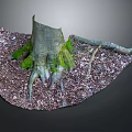 Garden Ornament Featuring Tree Stump With Exposed Roots Green Moss And Fallen Leaves