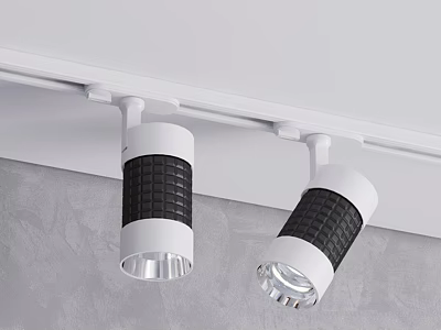 Modern Track Spotlights with White Body Black Mesh and Silver Head for Ceiling Installation 3d model