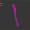 3D Rendered Human Long Bone Skeleton with Red Highlighted Anatomical Structure on Gray Background