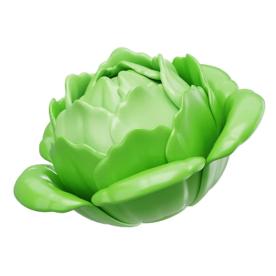 Modern vegetables lettuce cabbage cartoon vegetables cartoon lettuce cartoon green vegetables 3d model