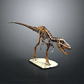 Detailed Dinosaur Skeleton Model On White Display Base With Natural Pose 3d model
