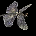 modern dragonfly 3d model