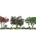 Modern Tree Landscape Trees Flowering Trees Ornamental Trees Sakura Trees 3d model