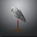 White and Gray Parrot with Yellow Beak Perched on Red Wooden Stand