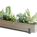 Decorative Wooden Garden Planter Boxes With Various Green Plants Ferns And Foliage