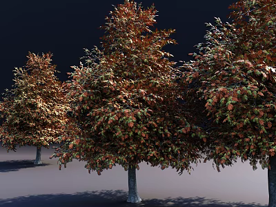 Colorful Deciduous Arbors With Orange Green Foliage And Tall Upright Trunks In Outdoor Space 3d model