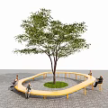 Yellow Circular Outdoor Chair Around Tree With Paved Ground And People Sitting