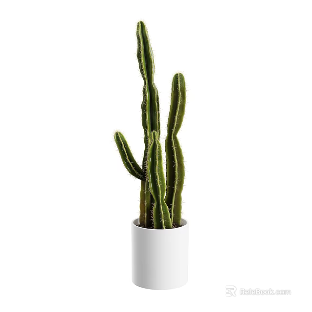 White Cylindrical Vase With Long Green Cactus Stems For Home Interior Decor 3d model 