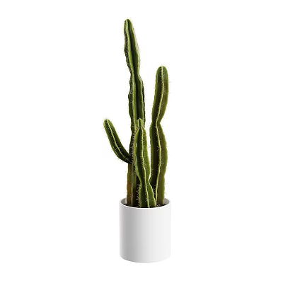 White Cylindrical Vase With Long Green Cactus Stems For Home Interior Decor 3d model