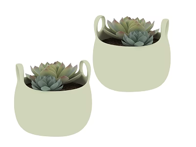 Two Stylish Light Green Potted Succulents With Handles Round Design Planters 3d model