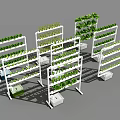 Vertical Farming Agricultural Equipment With Multi Layered Plant Racks And Green Vegetables