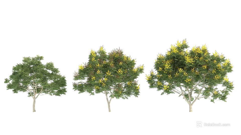 Arbor Trees With Green Foliage And Yellow Blossoms In Various Sizes 3d model
