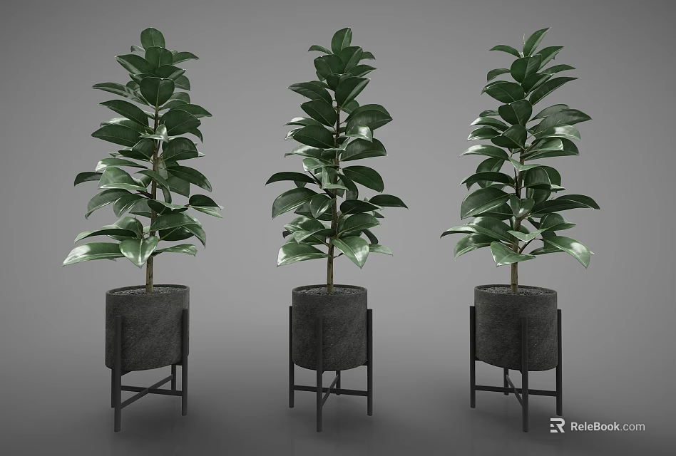 Green Leafy Potted Plants in Black Stand Planters with Lush Foliage 3d model 