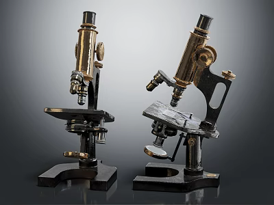 Vintage Medical Microscopes With Brass Black Metal Structure And Classic Design 3d model