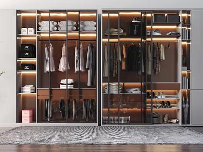 Modern Double Door Glass Wardrobe With LED Lighting And Storage Compartments Interior Design 3d model