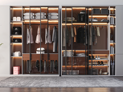 Modern wardrobe model