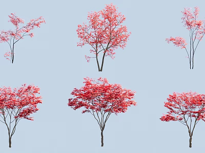 Ornamental Trees Featuring Red Pink Foliage In Various Styles For Landscape Design 3d model