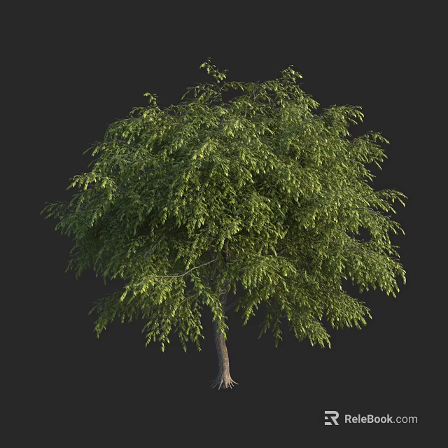 Lush Green Tree With Dense Foliage And Sturdy Trunk In Natural Form 3d model 