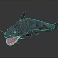 Fish Freshwater Fish Sea Fish Animal Game Animal Cartoon Animal Realistic Animal 3d model