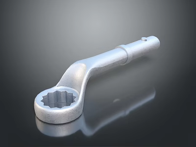 Professional Hardware Tools Box End Wrench High Strength Chrome Plated For Mechanical Repairs 3d model