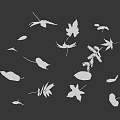 Beautiful Colorful Fall Leaves in Various Shapes Floating on Black Background