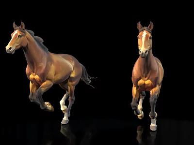 Two Realistic Brown Horses In Dynamic Running Poses Against Black Background 3d model