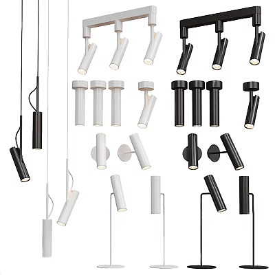 Modern Black And White Downlights And Spotlights In Various Styles For Home Decoration 3d model