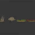 Various Small Plants With Different Colors And Shapes On White Background