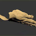 Disposable Medical Gloves For Healthcare Professionals With Comfortable Fit Design