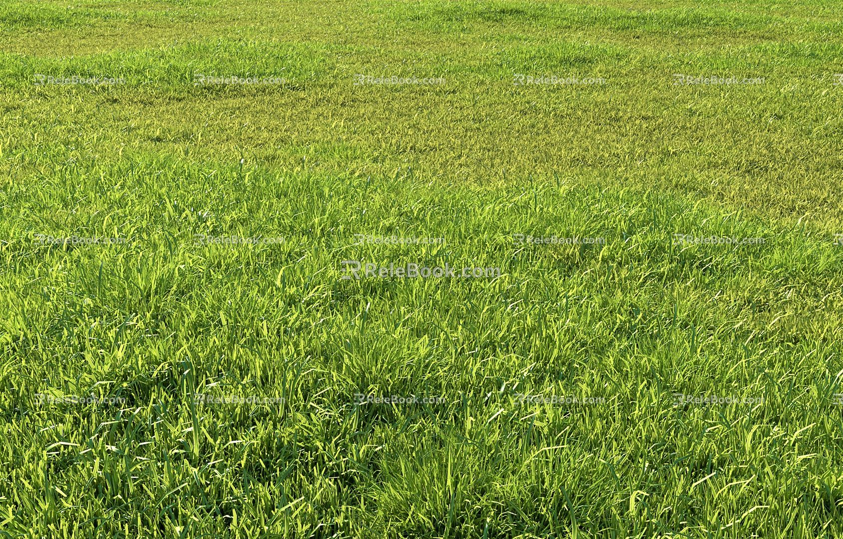 Modern Grassland Grassland Lawn 3d model